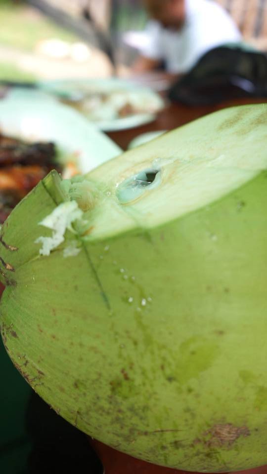 fresh buko from Anitu Food Forest