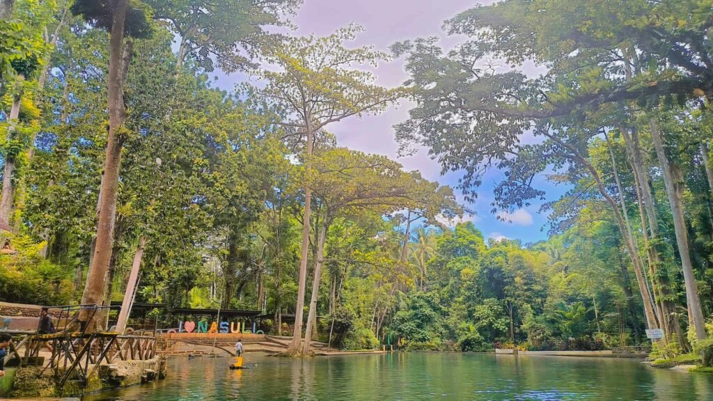 Nasuli Cold Spring