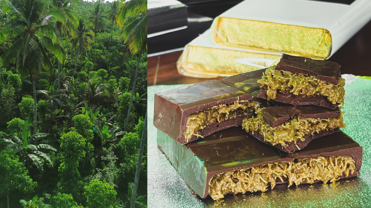 Forest, Flavor, and a Whole Lot of Heart