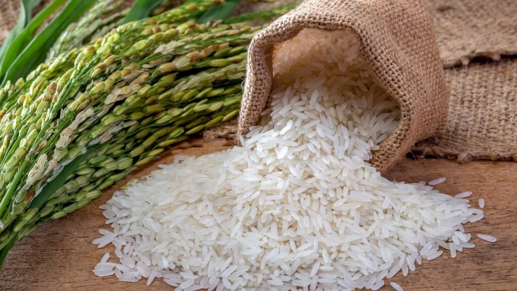PH’s Dinorado Just Won Silver at the World’s Best Rice Competition